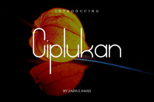 Ciplukan: A Modern Font for Clear Campaigns