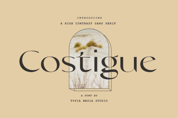 Costigue: A Modern Serif Font for Creative Campaigns