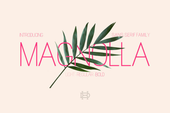 Magnolla: A Designer’s Real-World Review