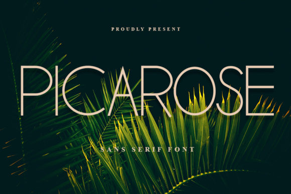 Picarose: A Modern Sans Serif for Creative Projects
