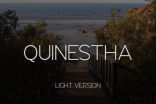 Quinestha Light Font for Business