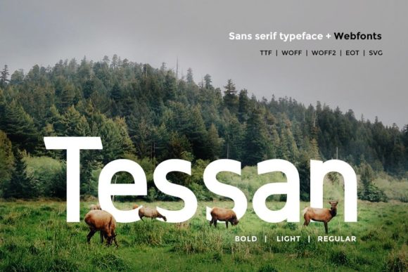 Tessan: A Modern Sans Serif for Makers