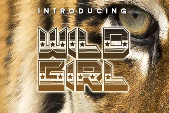 Wild Girl Font Review