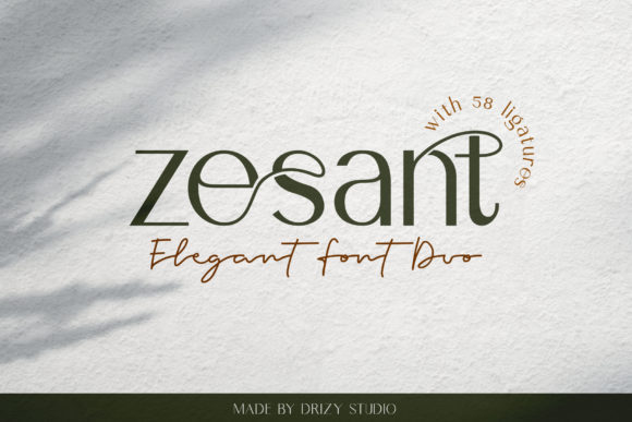 Zesant: A Modern Sans Serif for Web Design